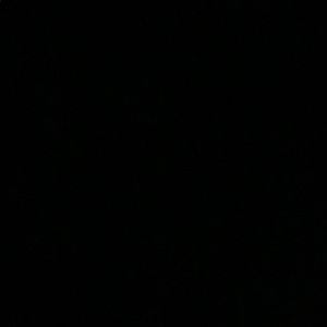 Meet your Posher, Daisy